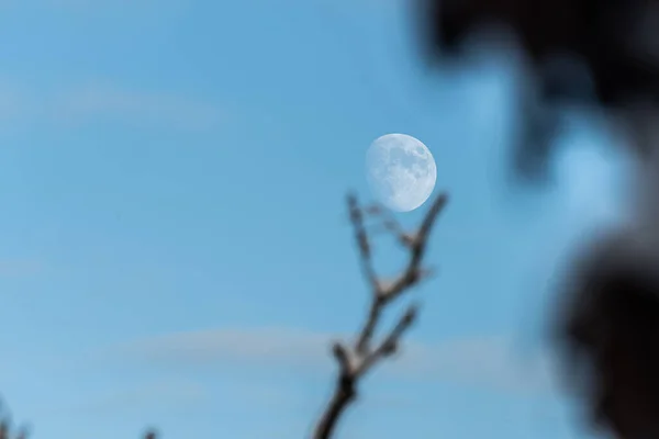 한낮의 보름달 — 스톡 사진