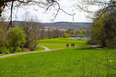 Small group of people wandering on a path through a green park.