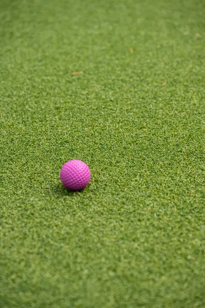 Bola Golfe Miniatura Roxa Grama Sintética — Fotografia de Stock