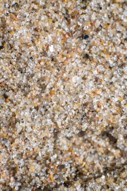 Kumsalda kum tanelerine yakın çekim.