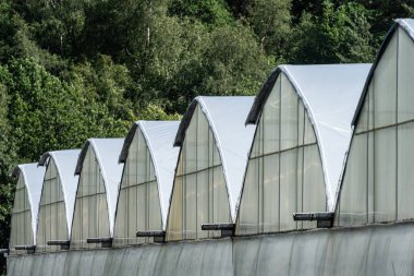 Büyük yeşil bir evin çatıları..