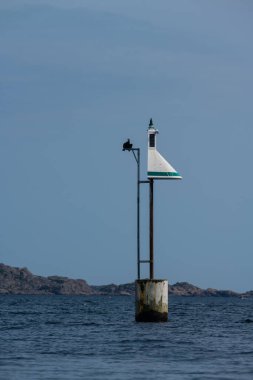 Üzerinde kuş olan yeşil deniz işareti..