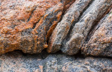 Gri ve pembe gneiss başkalaşımlı kaya.