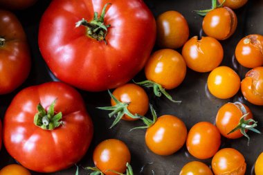 Farklı boyutlarda olgun domatesler..