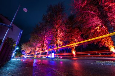 Ağaçlar gece vakti kırmızı ışıkta parlıyordu..