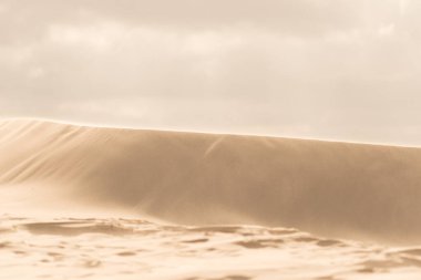 Skagen, Danimarka - 28 Eylül 2014: Çöldeki kum tepelerinin ince dokusu ve çizgileri.