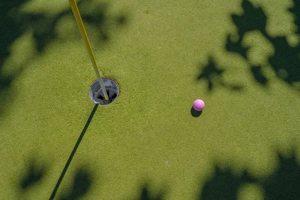 Pink golf ball by a hole on a mini golf course.