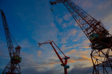 Rıhtımdaki eski vinçlere bakıyorum.