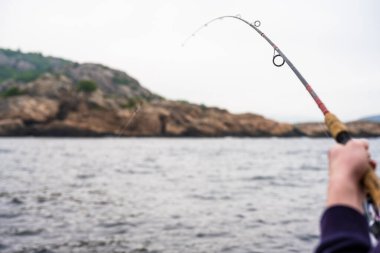 Denizde oltayı tutan bir el..