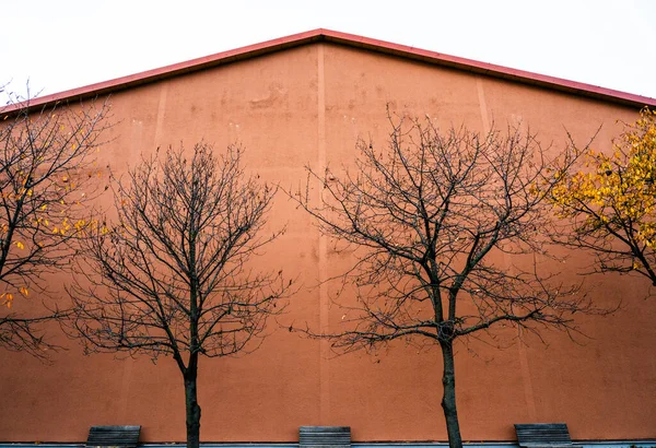 Naked trees by a pink building.