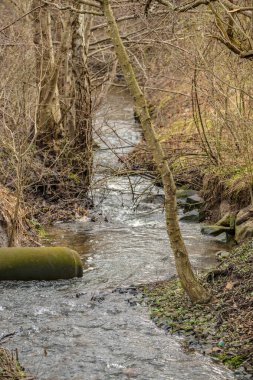 Borusu olan bir derede küçük bir dere..