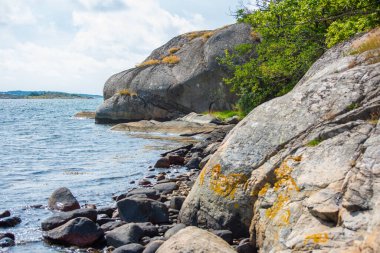 Deniz kıyısındaki kayalıklar.