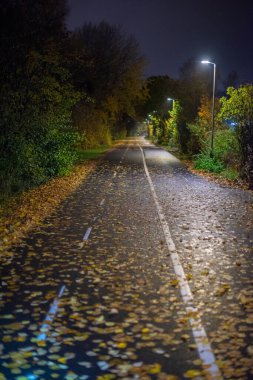 Two lane bike path almost covered in leaves at night.