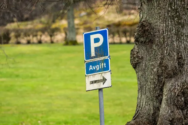 Old and weathered parking sign by a tree.