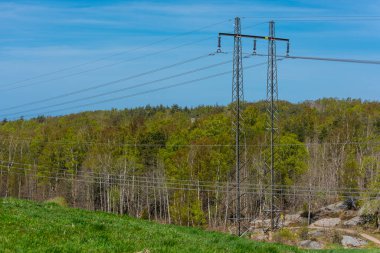Bir orman üzerinde yüksek voltajlı elektrik hatları.