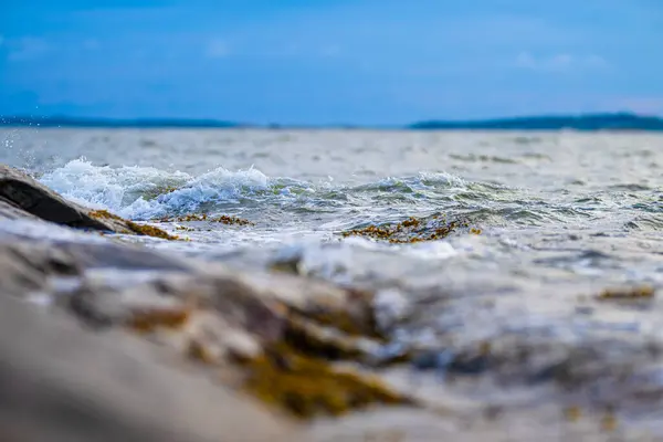 stock image Waves moving the seaweed by a seaside cliff.