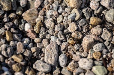 Sahildeki yuvarlak kayalıklar.