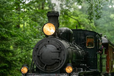 Antika müze buhar treni yeşil ormandan yaklaşıyor..