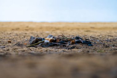 Kumsalda yanmış kamp ateşi..