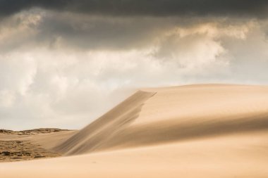 Skagen, Danimarka - 28 Eylül 2014: Üzerinde rüzgar esen büyük kum tepeciği, sönük kumu hareket ettiriyor.