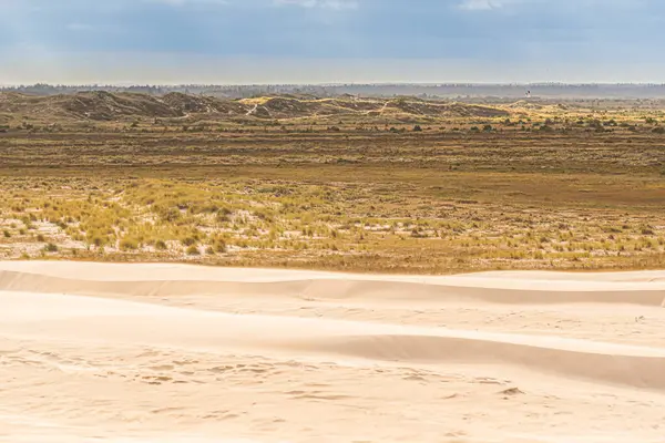 Skagen, Danimarka - 28 Eylül 2014: Kum tepelerine bakıyoruz.