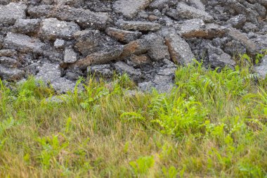 Chunks of old asphalt dumped in a grass field.