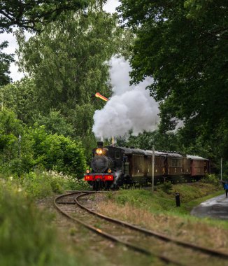 Antika müze buhar treni yeşil ormandan yaklaşıyor..