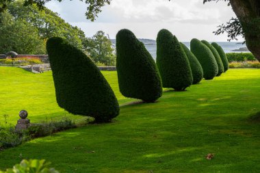 Rüzgâr klasik bir parkta ağaçları düzgünce kesti..
