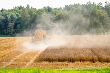 Hasat işçisi yazın sonunda bir tarlada çalışıyor..