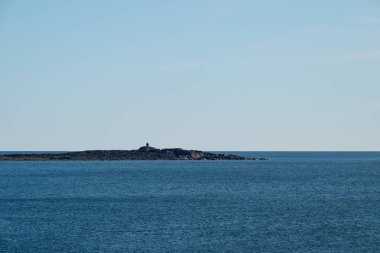 Denizde büyük bir kokarca.