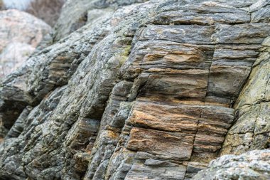 Sahilde taş oluşumu.