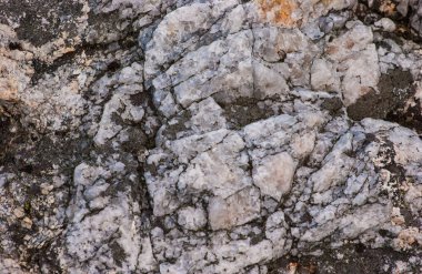 Yosun ve yosunla karışık kaya oluşumunu kapat..