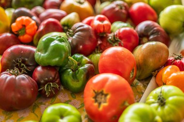 Masada renkli domates ve biber çeşitleri.