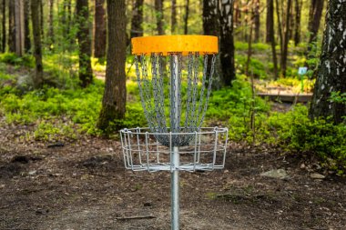 Ormandaki disk golf hedefi