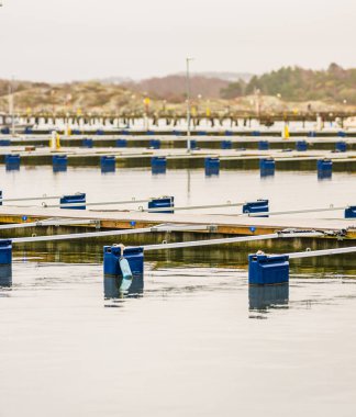 Boş teknesi olan marina bulutlu bir günde rıhtıma yanaşıyor.
