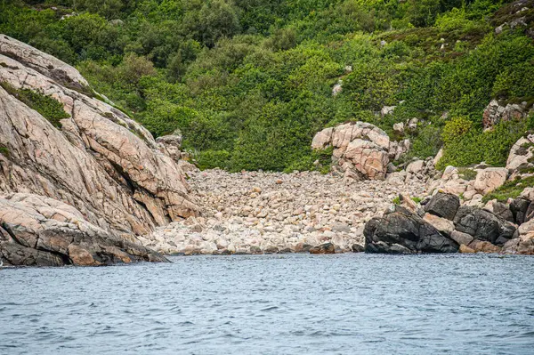 Yeşil bitkilerle kayalık kıyı şeridi