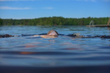 Sakin göl suyunda yüzen kişi