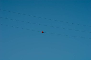 Tek işaret şamandırası kablolarda asılı.