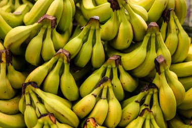 Kocaman sarı olgun muz yığını.