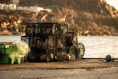 Deniz kenarında bir yığın ıstakoz.