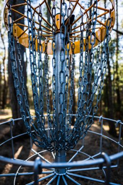 Ormandaki golf sepetinin alçak açılı görüntüsü