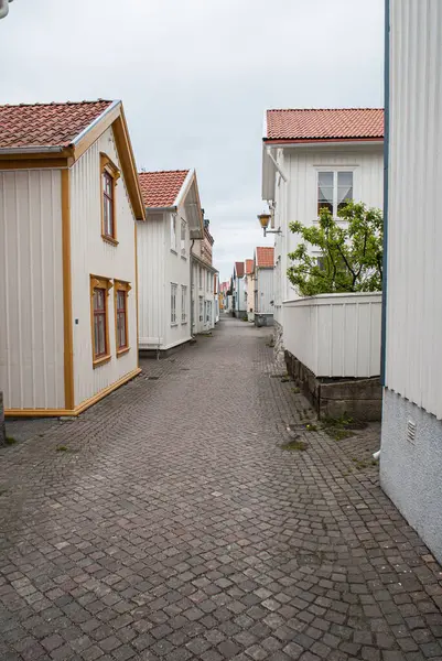 Geleneksel İskandinav evleri arasındaki dar geçit