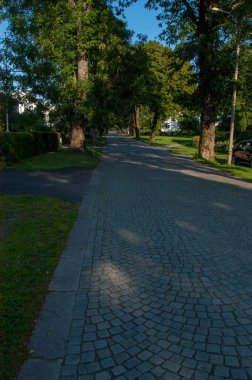 Rüzgarda dalgalanan Norveç bayrağının yakın çekimi