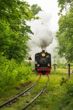 Buhar treni ormanda viraja yaklaşıyor.