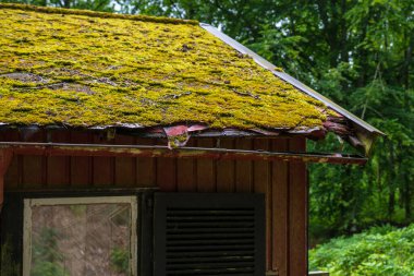 Yosun kaplı eski kırmızı kulübe çatısı