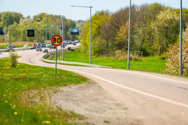 Yol kenarındaki yeşil çimlerin yanında hız sınırı işareti