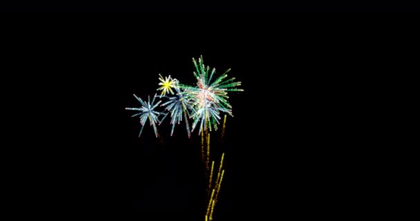 Artificii Colorate Show Fundal Negru — Videoclip de stoc