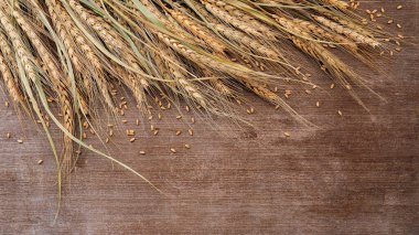 Wheat ears and wheat grains set up on shabby wooden background.