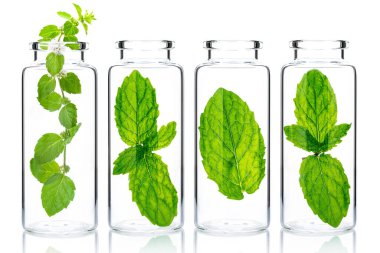 Bottles of essential oil with mint isolated on white background.