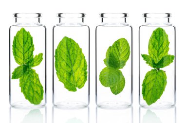 Bottles of essential oil with mint isolated on white background.